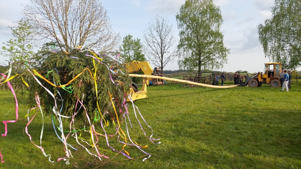 Aufstellen des Maibaums in Wawern – bunt geschmückter Baum mit farbigen Bändern und helfende Dorfbewohner auf einer grünen Wiese bei Frühlingshimmel.