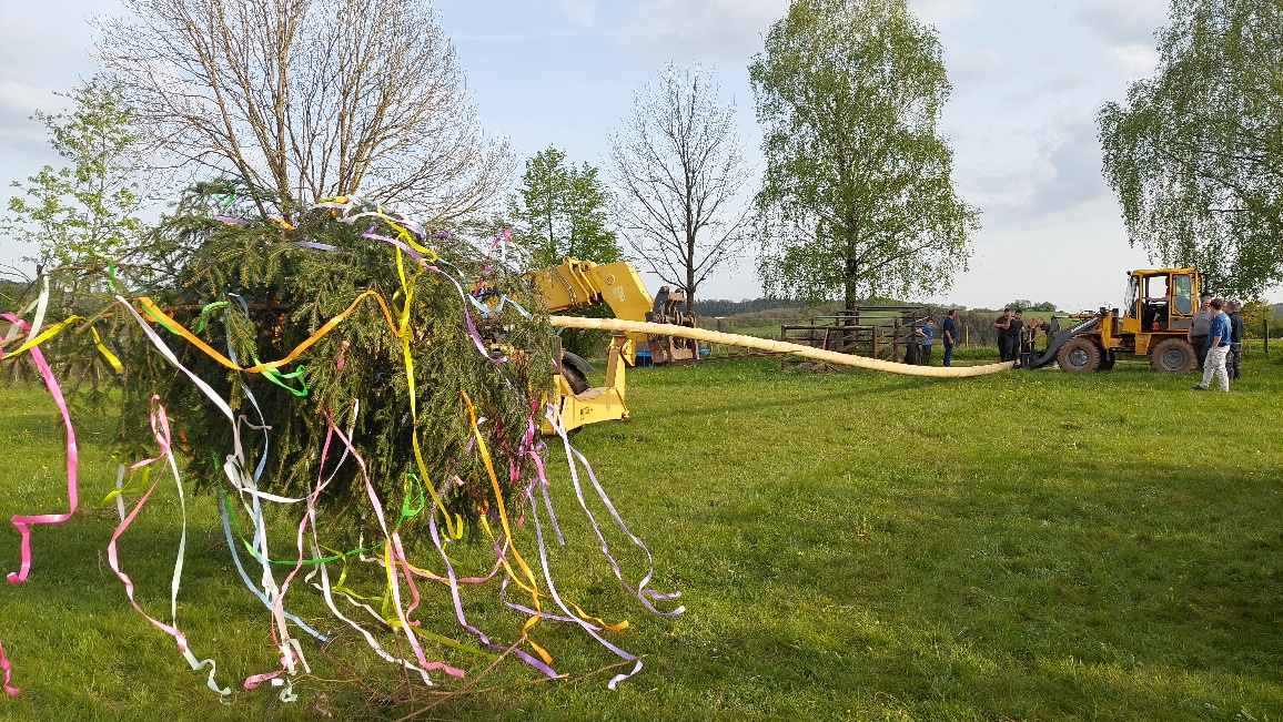 Aufstellen des Maibaums in Wawern – bunt geschmückter Baum mit farbigen Bändern und helfende Dorfbewohner auf einer grünen Wiese bei Frühlingshimmel.