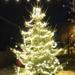 Festlich beleuchteter Weihnachtsbaum in Wawern (Eifel) bei Nacht – geschmückt mit Lichterketten, roten und silbernen Kugeln, stimmungsvolle Weihnachtsdekoration im Außenbereich zur Adventszeit.