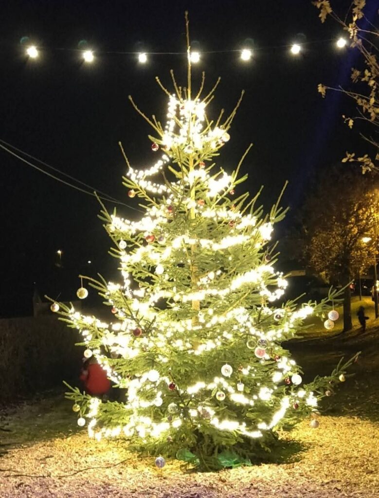 Festlich beleuchteter Weihnachtsbaum in Wawern (Eifel) bei Nacht – geschmückt mit Lichterketten, roten und silbernen Kugeln, stimmungsvolle Weihnachtsdekoration im Außenbereich zur Adventszeit.